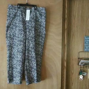 ALFRED DUNNER Capris NEW